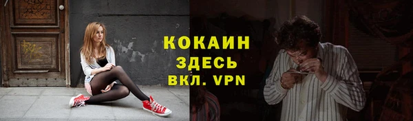 а пвп мука Инсар