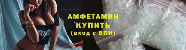 PSILOCYBIN Инта