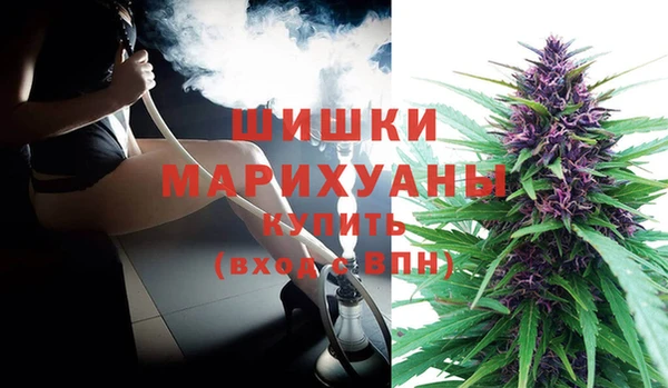 PSILOCYBIN Инта