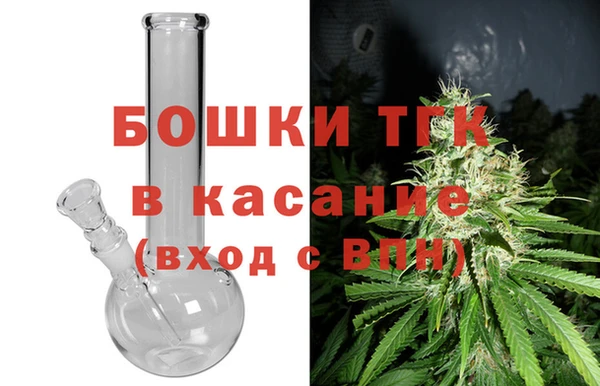 PSILOCYBIN Инта