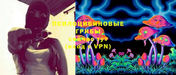PSILOCYBIN Инта