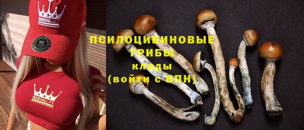 а пвп мука Инсар