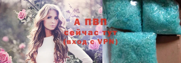 PSILOCYBIN Инта