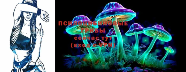 PSILOCYBIN Инта