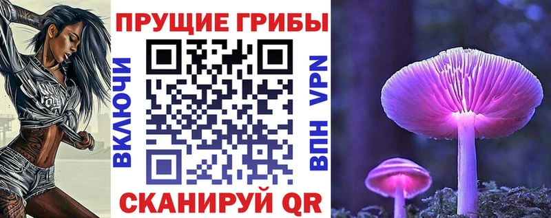 Купить где  Задонск  Псилоцибиновые грибы прущие грибы 